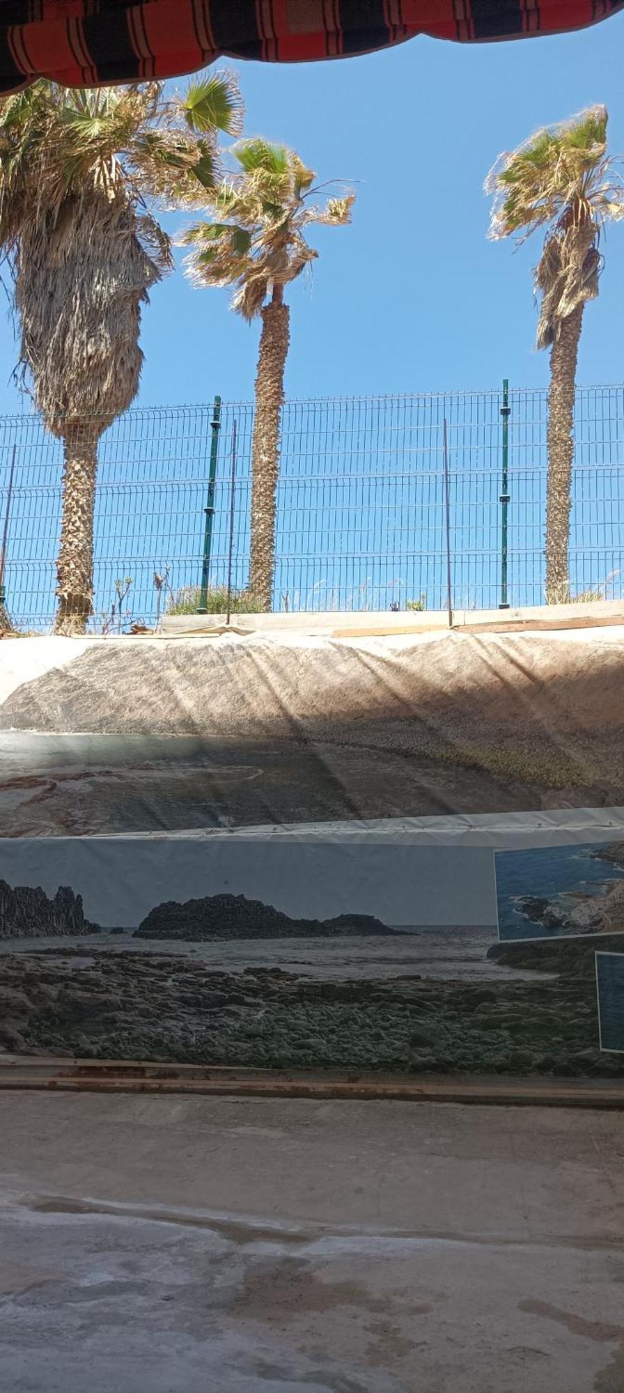 Beautiful Beach Corner Santa Cruz de Tenerife Exterior photo